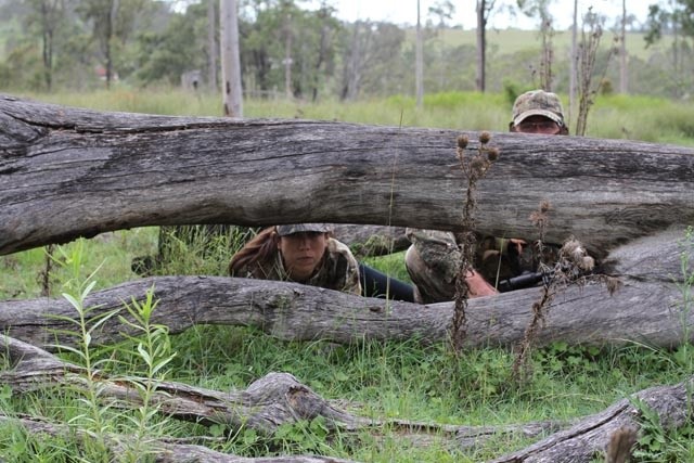 The Dog Hunters