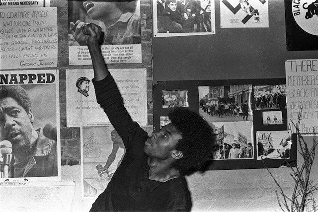 Remnants of the British Black Panther’s Lost Legacy