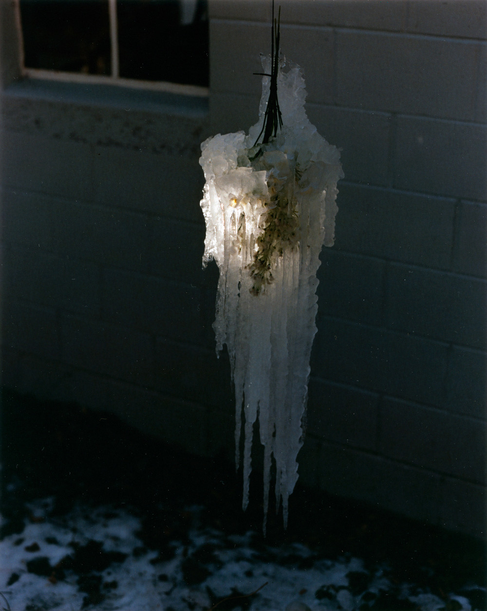 Gregory Halpern and Ahndraya Parlato's Gloriously Unmoored Photographs