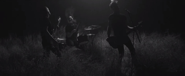 Apokalipsa w wersji Wild Throne w klipie “Harvest of Darkness”