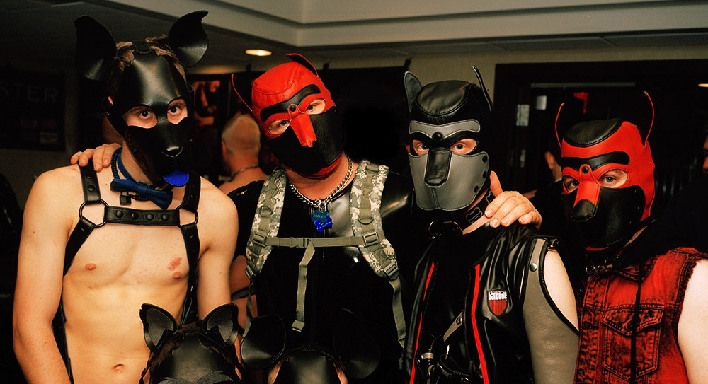 Photos of Pups Playing at a Leather Convention