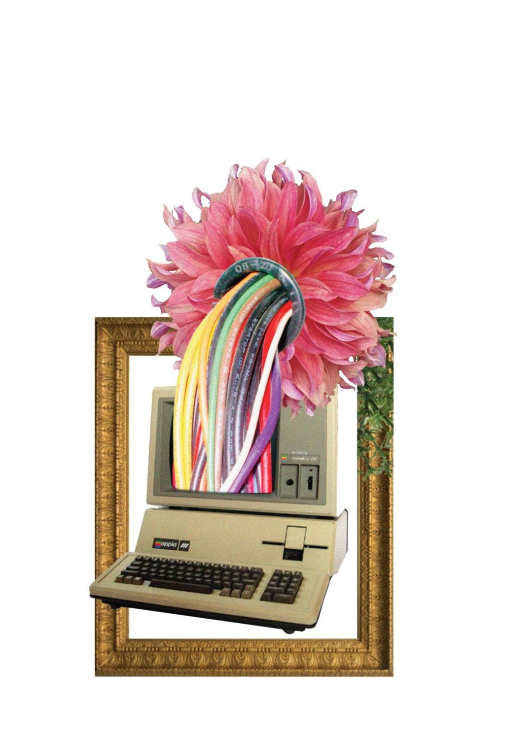 The Future of Owning the Internet
