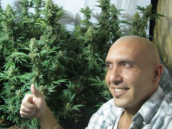 ​How Weed Is Helping Opioid Users Beat Addiction