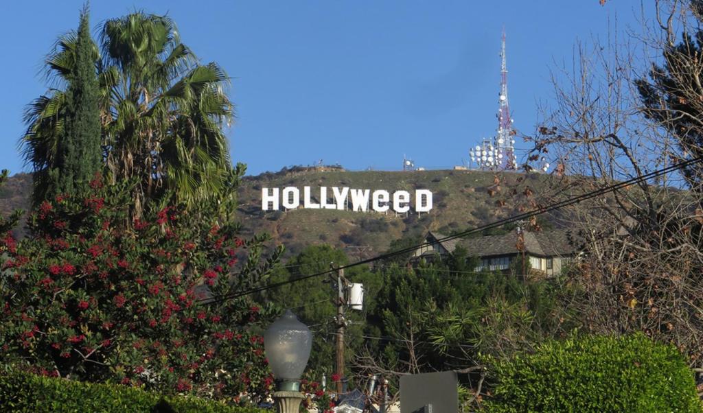 Poznaj ludzi, którzy przerobili znak Hollywood na „Hollyweed”