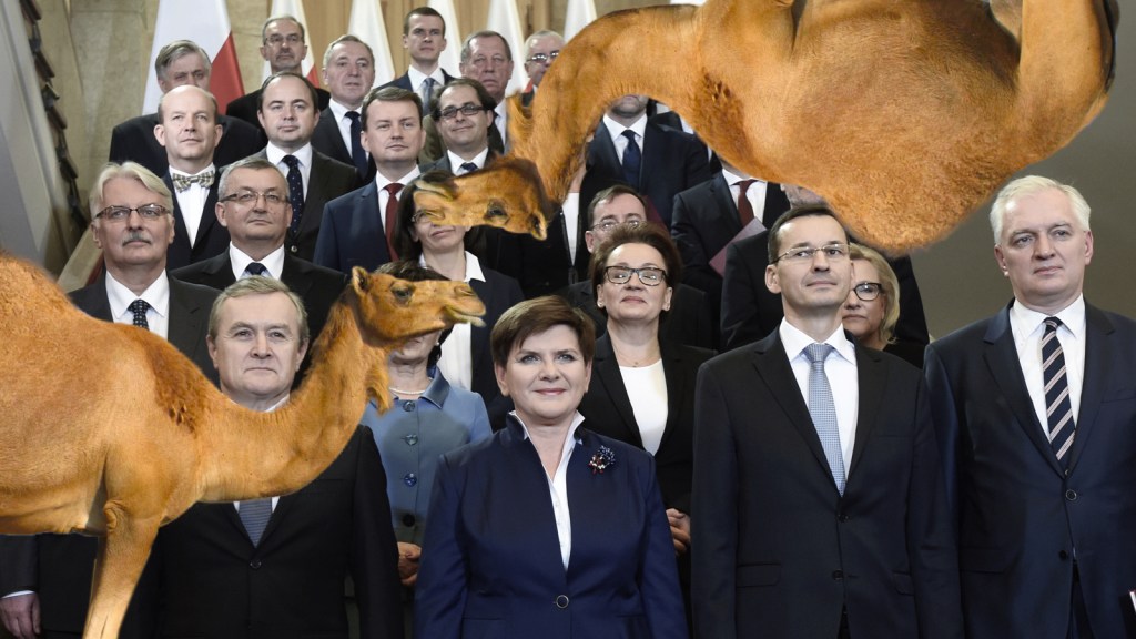 Za ile wielbłądów moglibyśmy sprzedać polski rząd?