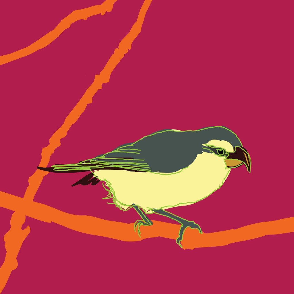 Animating Endangered Species to Save Them in Hawaii