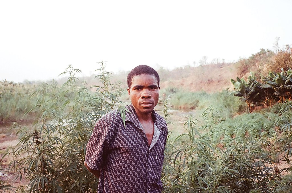 The African Country on a Mission to Legalize Hemp (And Maybe Weed Too)