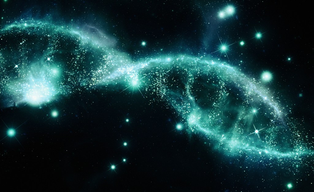 How Much Should You Get to Decide About Your Baby’s Genes?