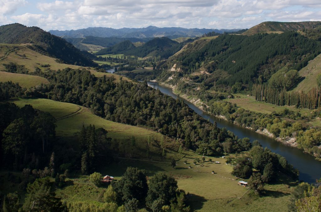 Ein neuseeländischer Fluss besitzt jetzt die gleichen Rechte wie ein Mensch