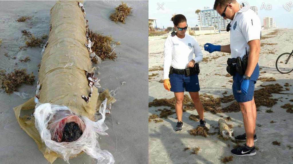 Hier wurde kein Baby-Wal angespült, sondern ein 2-Kilo-Joint