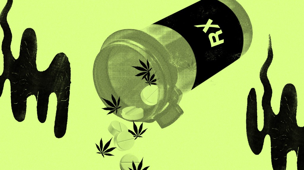 Legal Weed Is the Solution to Our Massive Painkiller Problem