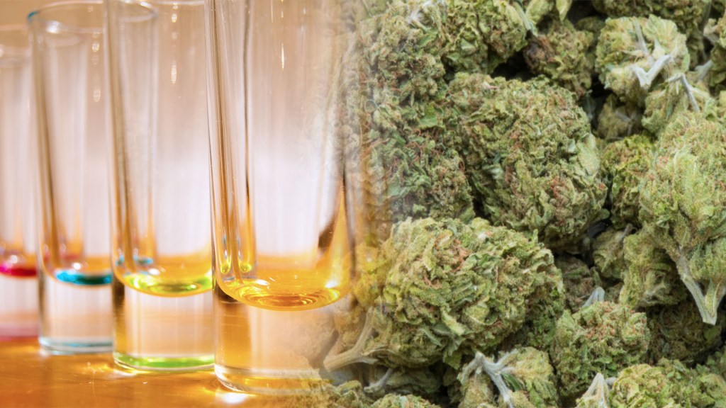 We Asked Teens if It’s Really Easier to Get Weed Than Alcohol