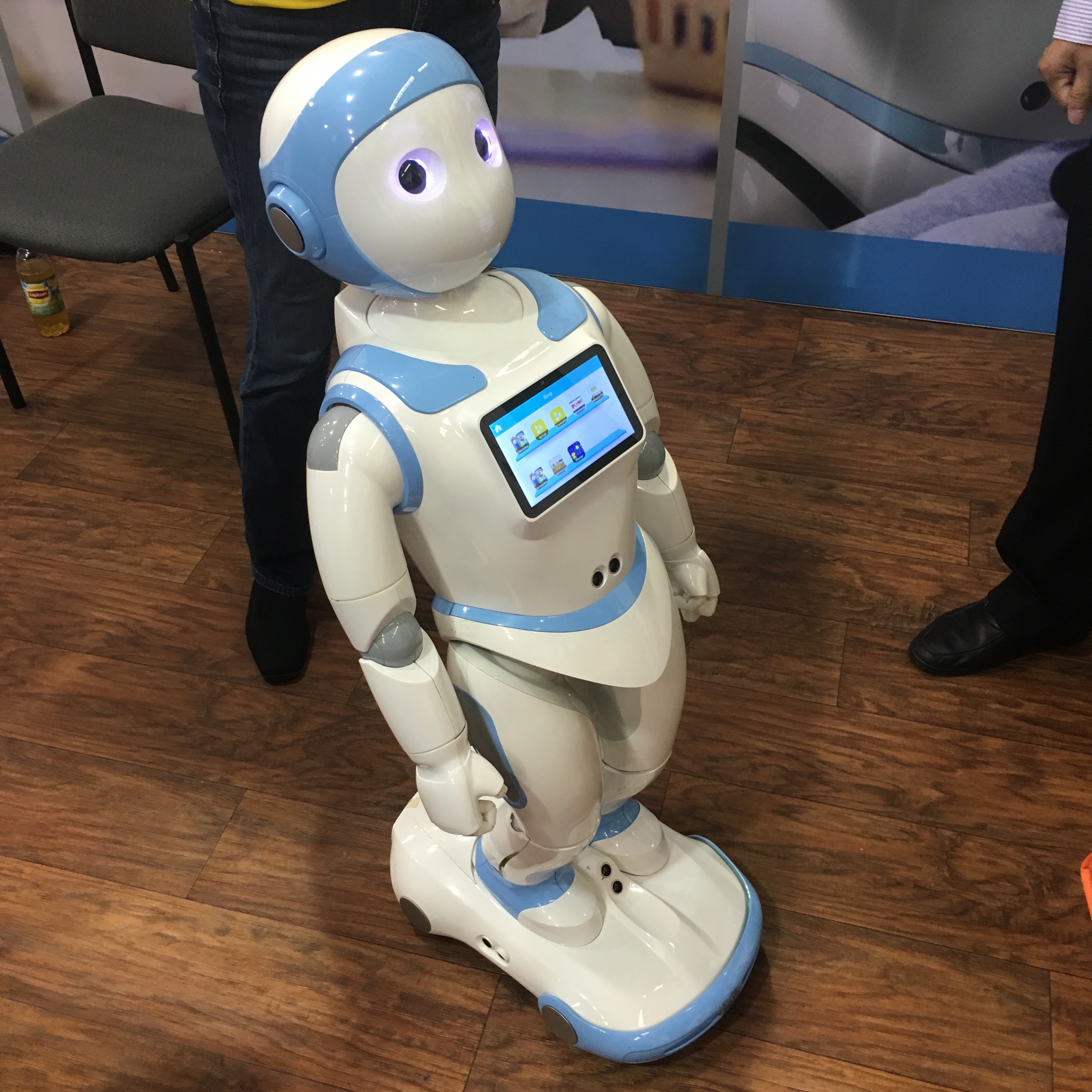 iPal robot