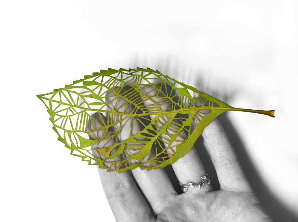 This Artist Turns Leaves into Patterned Works of Art