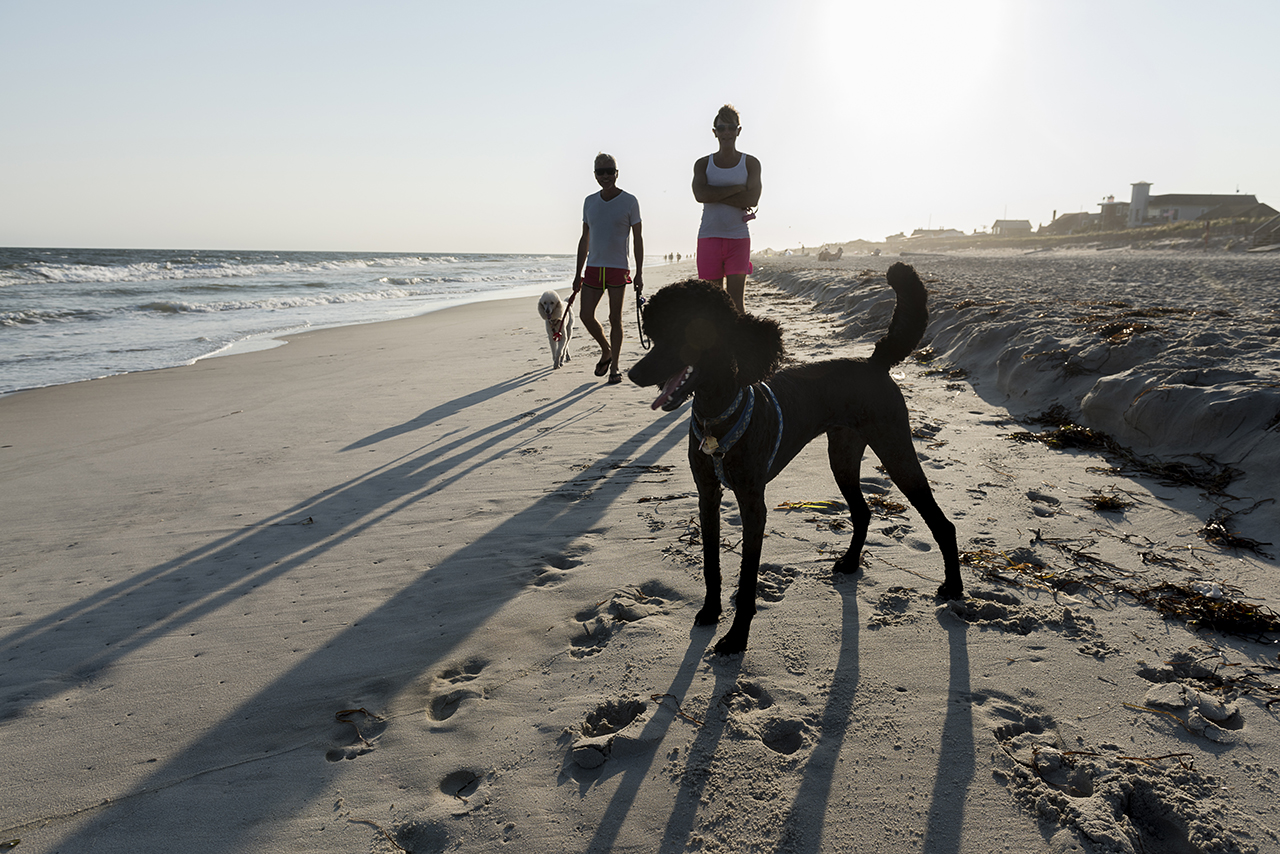 cherry grove.jpeg