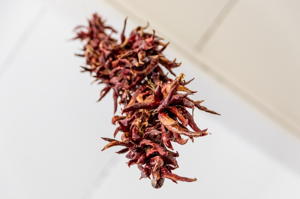 A Mission to Find the Spiciest Dish in Calabria
