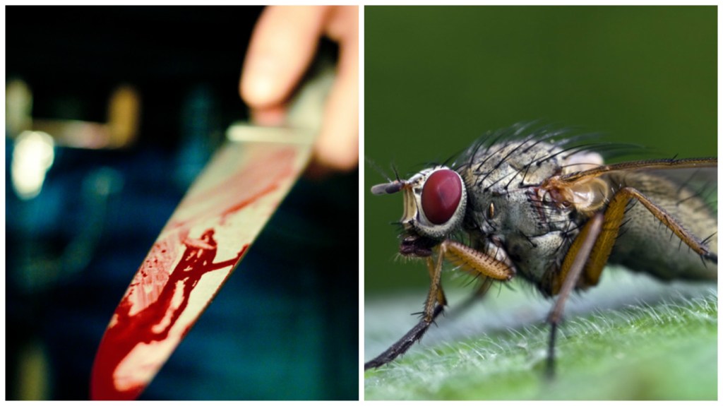 In Every Murder, There Are Thousands of Tiny Witnesses