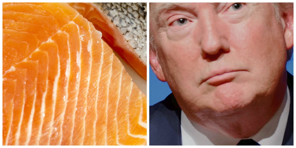 Trump’s Pro-Mining Policies Could Devastate the Salmon Industry