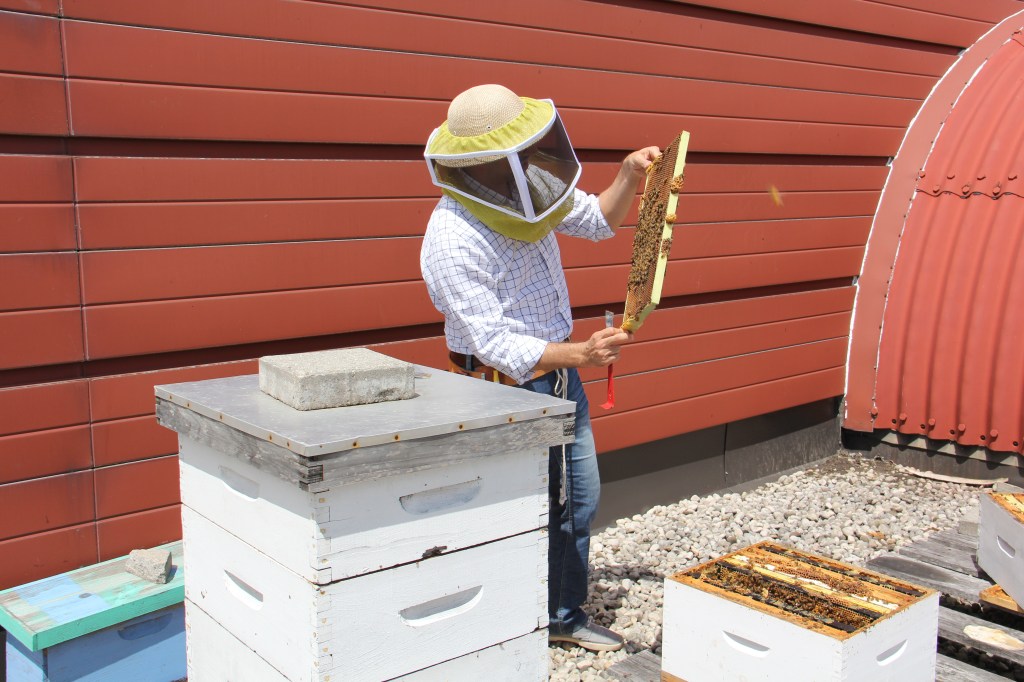 New Field Tests Find These Pesticides Are Harming Bees