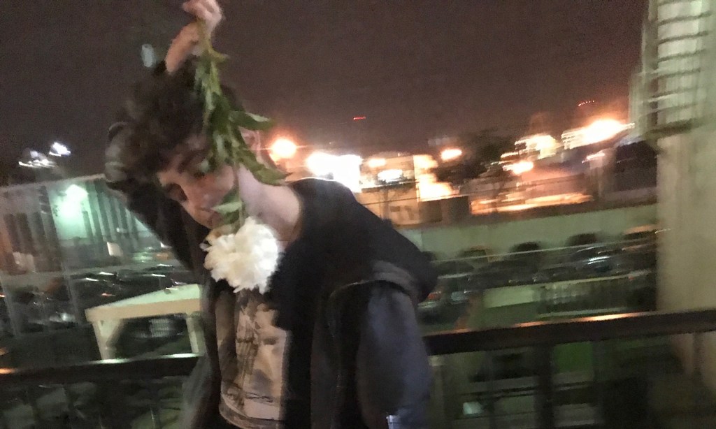 Noisey Mix: Dasychira