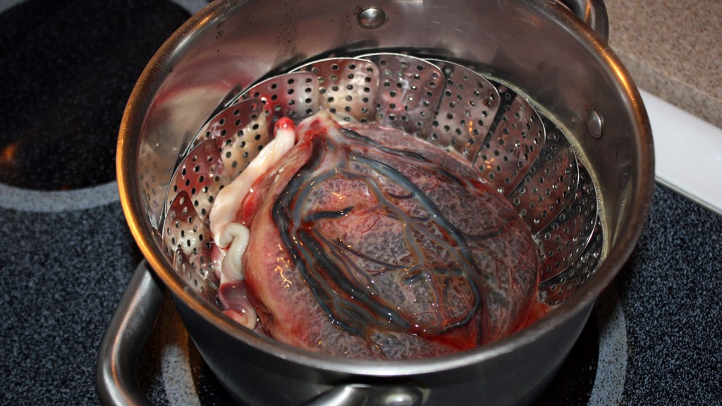 Seriously, Don’t Eat Your Placenta