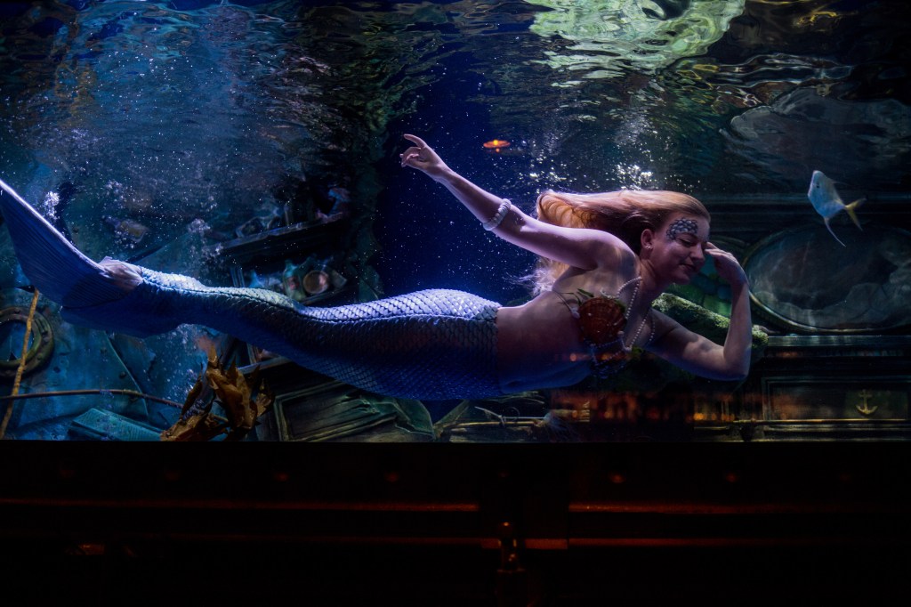 Mermaids Exist, and They’re Happier Than You