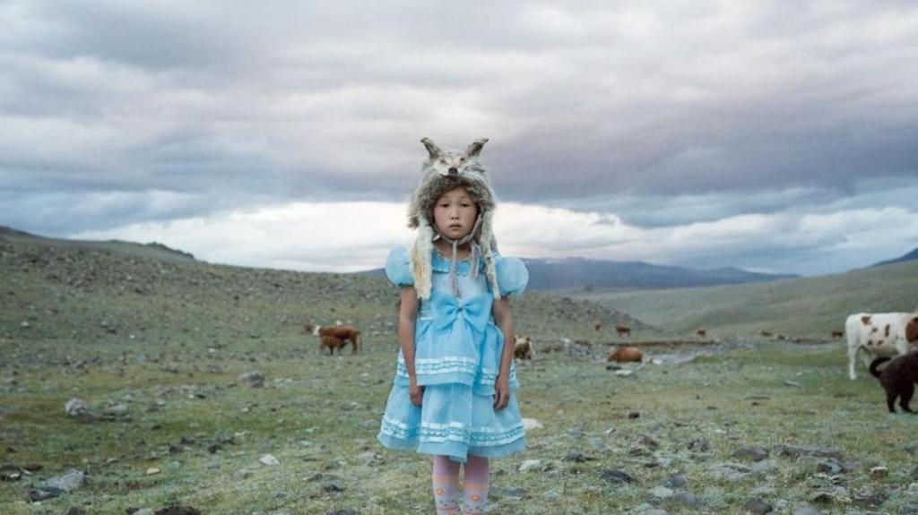 La vita può essere un film di Wes Anderson, se la guardi bene