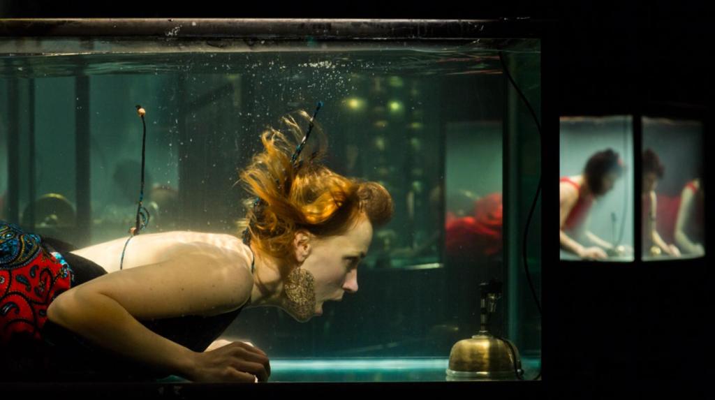 Actual Seapunks: This Underwater Band Plays Music in Fish Tanks