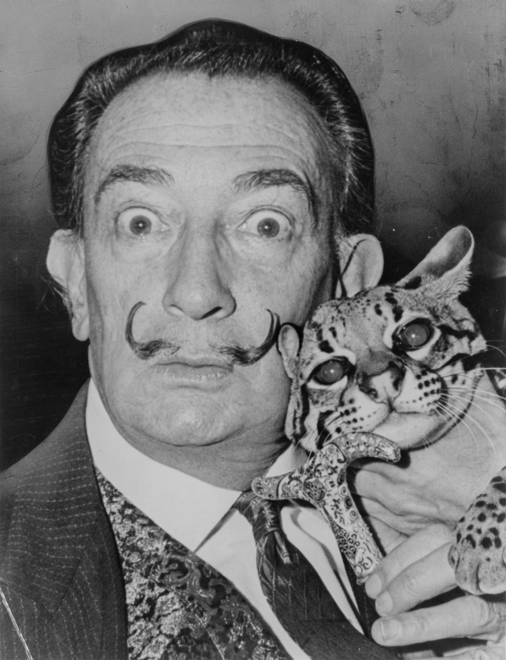 La polizia ha riesumato il corpo di Dalí e quello che ha trovato è surreale