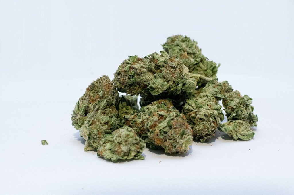 La weed est légale en Uruguay – mais elle n’a presque aucun effet
