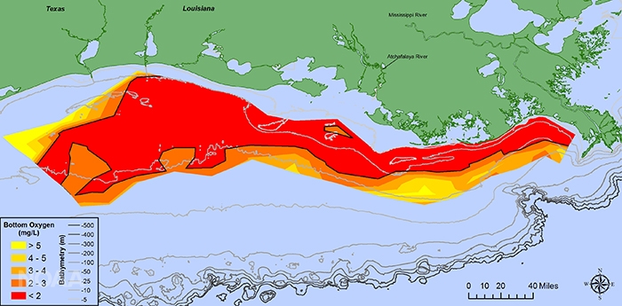 Al het leven in de zee stikt in een gebied zo groot als half Nederland