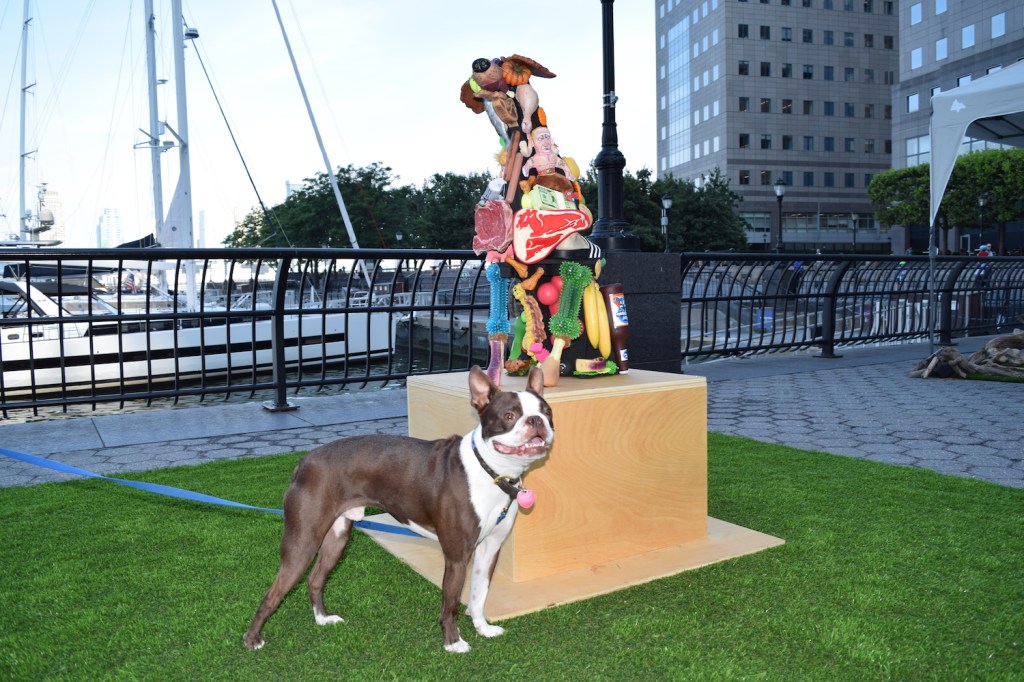Doggone Cute Pics From America’s First Art Show for Dogs