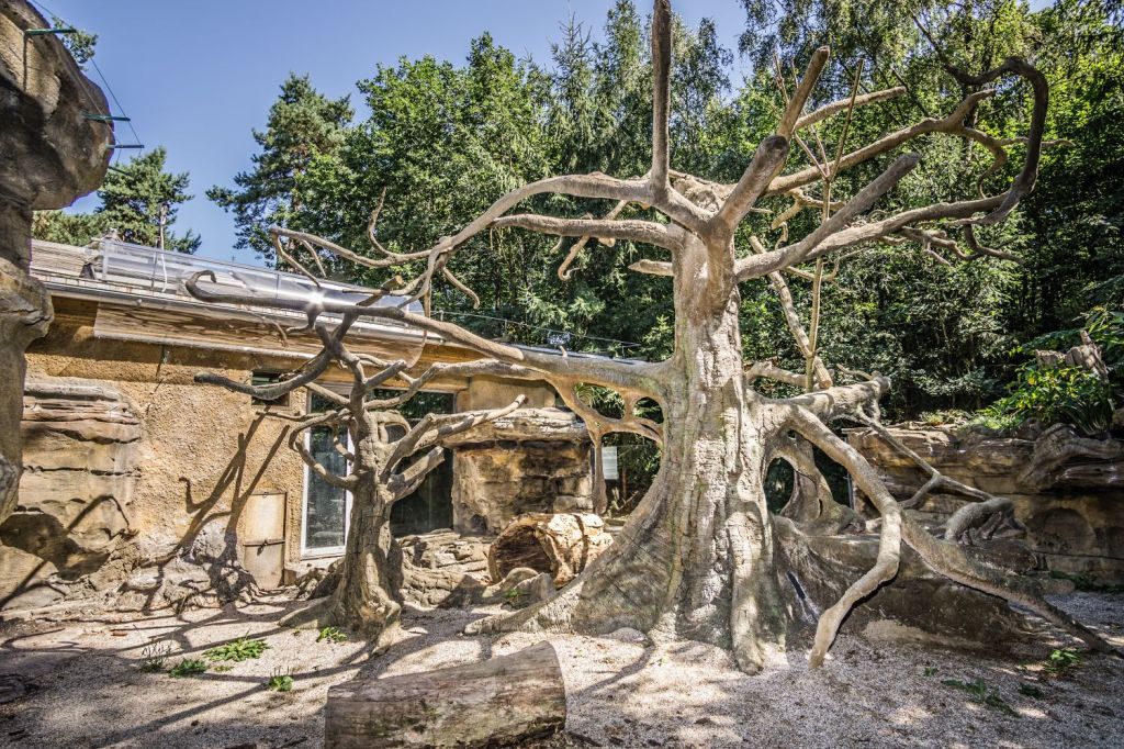 Kluci, kteří vytváří betonové příbytky pro zvířata v ZOO