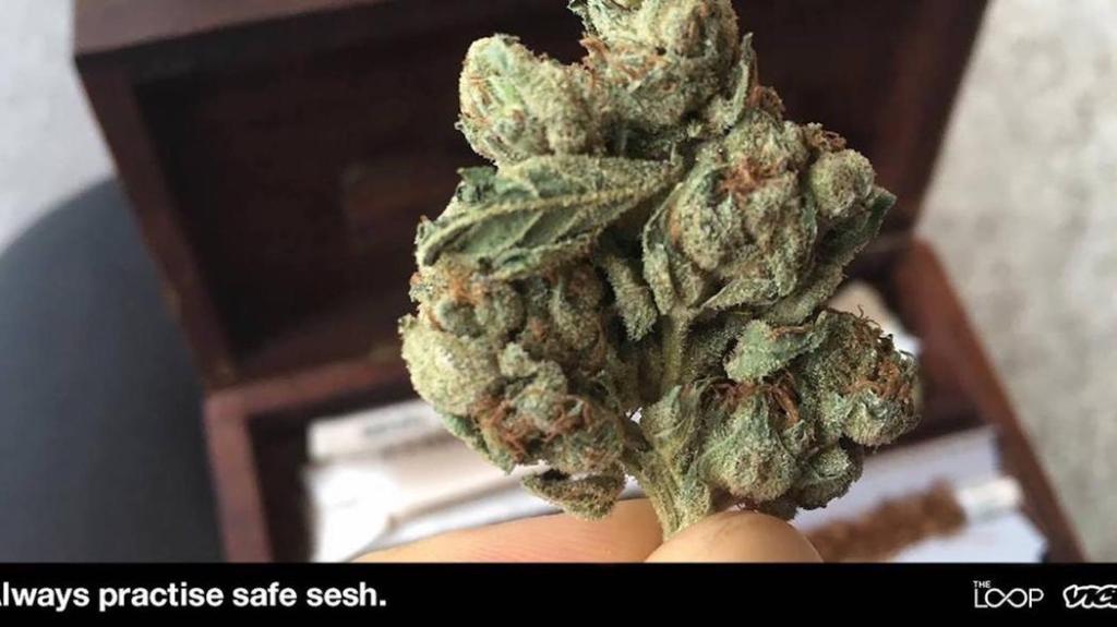 Suplimentul alimentar care elimină efectele negative ale marijuanei
