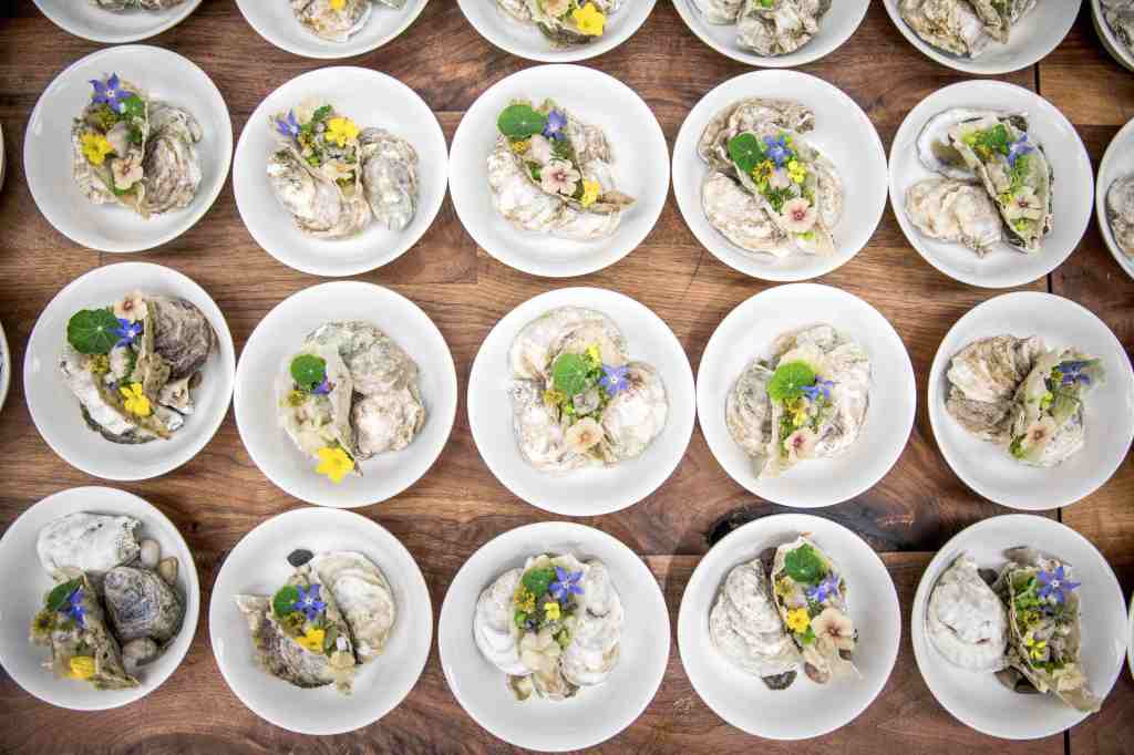 We Turned the MUNCHIES Garden into a Nordic Paradise