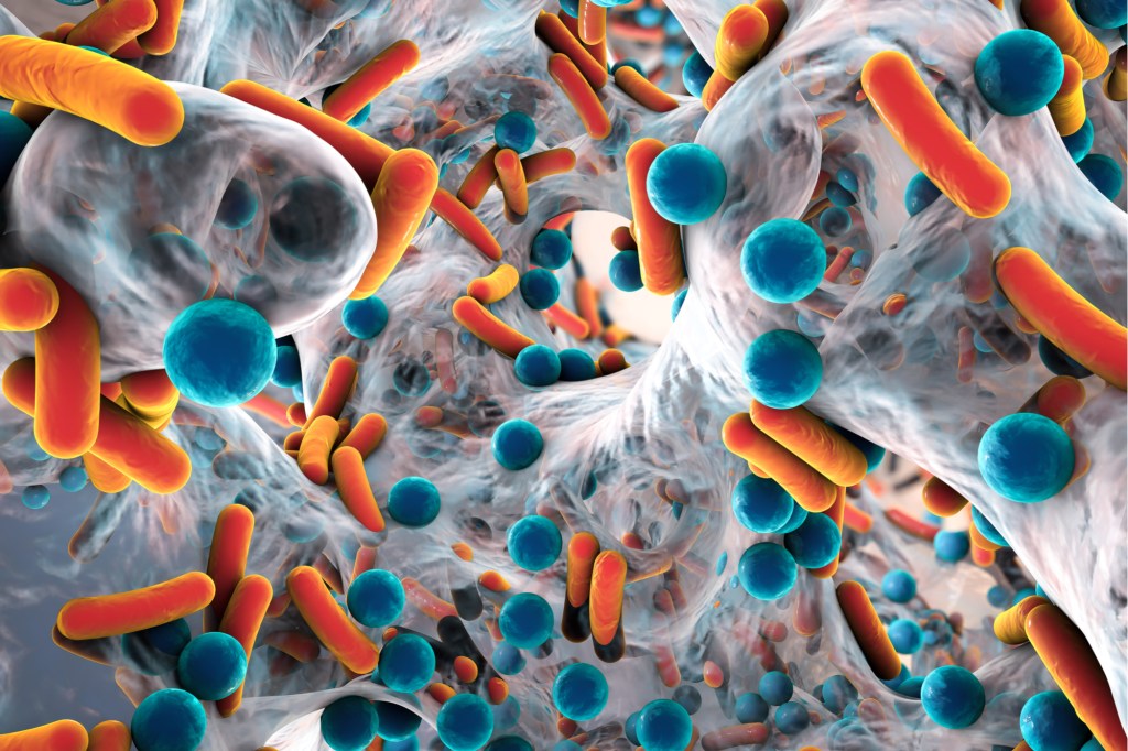 New Method Evaluates Antibiotics Based on the Tiny Vibrations of Dying Microbes