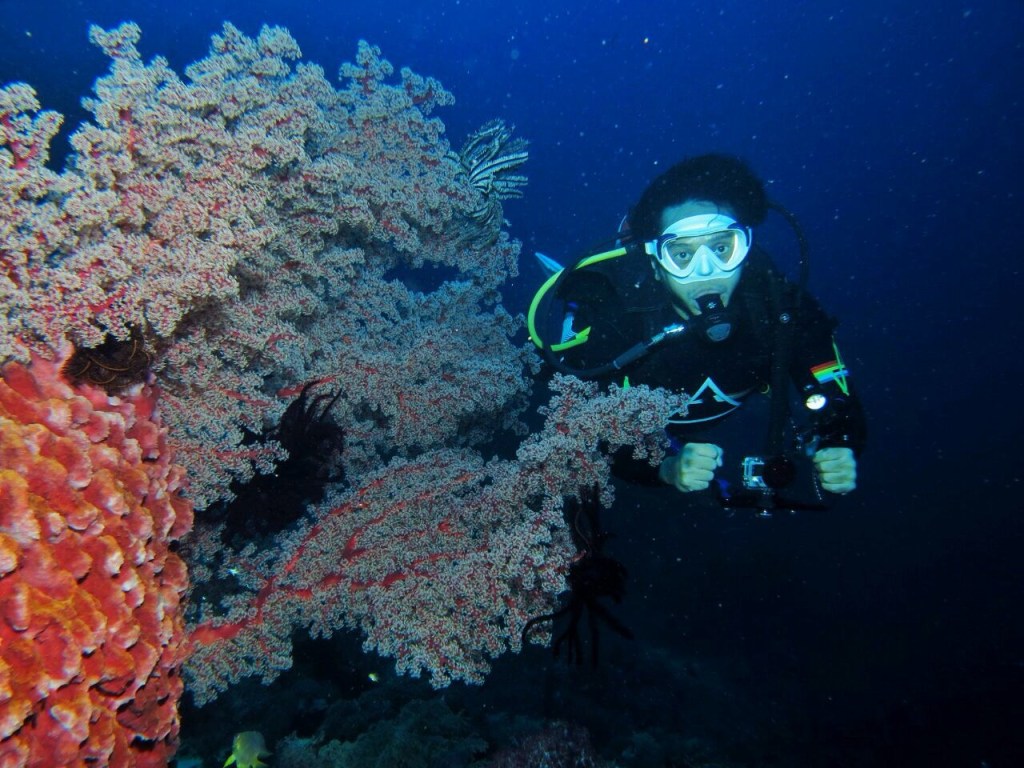 This Indie Star Found a New Perspective On Life Under the Sea