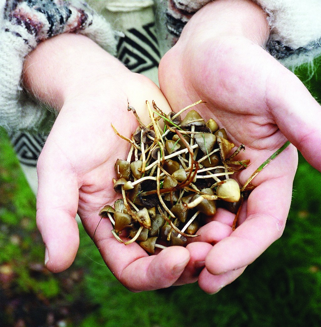 Kan psilocybin hjälpa mot dödsångest?