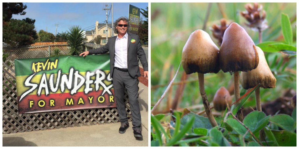 One Stoner Politician’s Lonely Quest to Legalize Shrooms