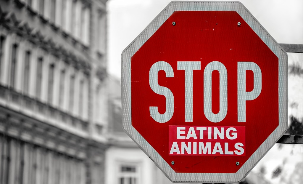 Essere vegano mi rendeva davvero una brutta persona