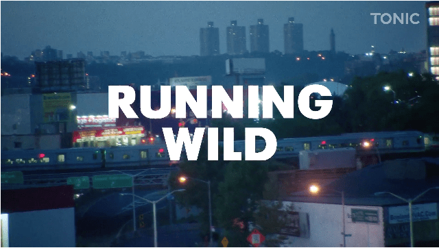 Running Wild