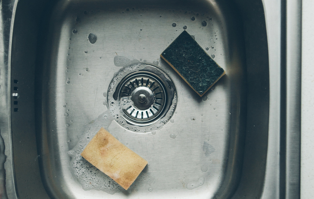 Your Nasty Old Kitchen Sponge Could Give You Diarrhea