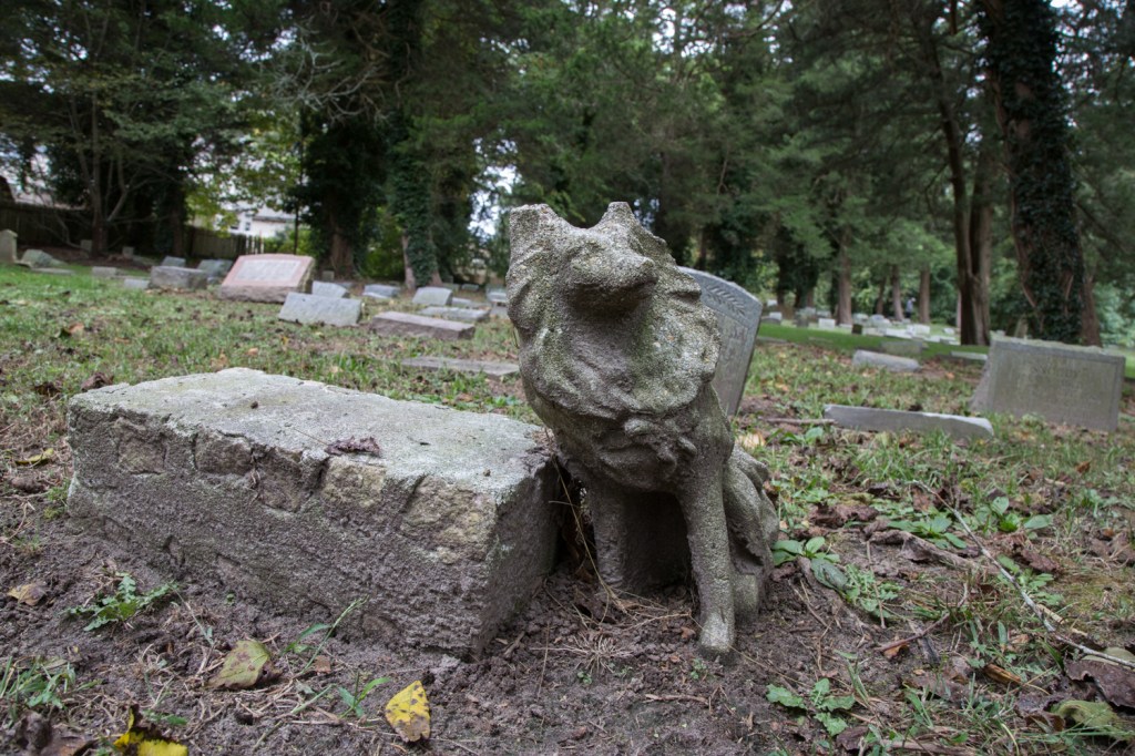 Crushingly Sad Photos of One of America’s Oldest Pet Cemeteries