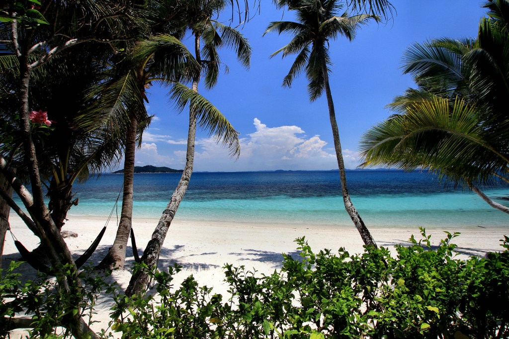 Alles wat je moet weten over de Paradise Papers