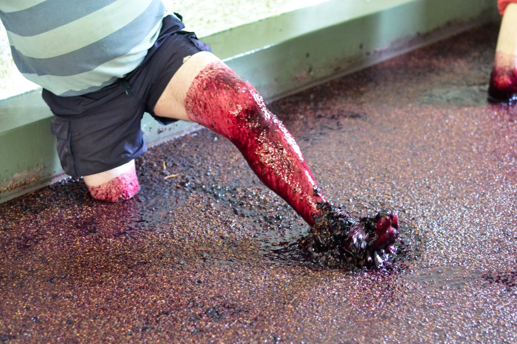 Why Human Feet Make the Best Port