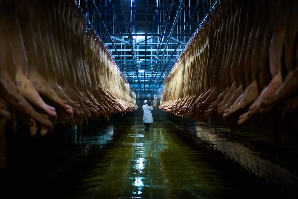 We spraken de regisseur van de nieuwe docu ‘Eating Animals’