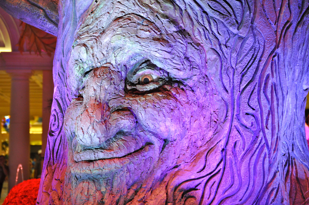 Why It Feels Like You Can Communicate with Nature On LSD