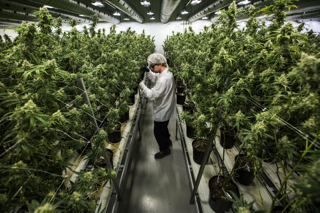 The GOP tax plan could be forced to include a break for legal weed