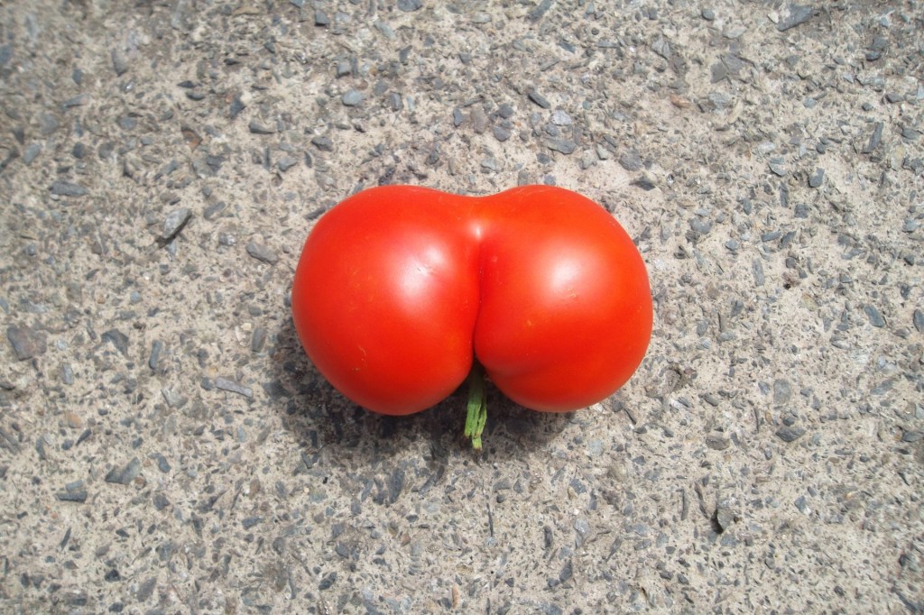 Analsex in Pornos ist viel komplizierter, als du denkst