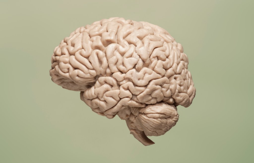 This Is What Happens To Your Brain During Anesthesia